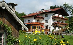 Biobauernhof Nussbaumer